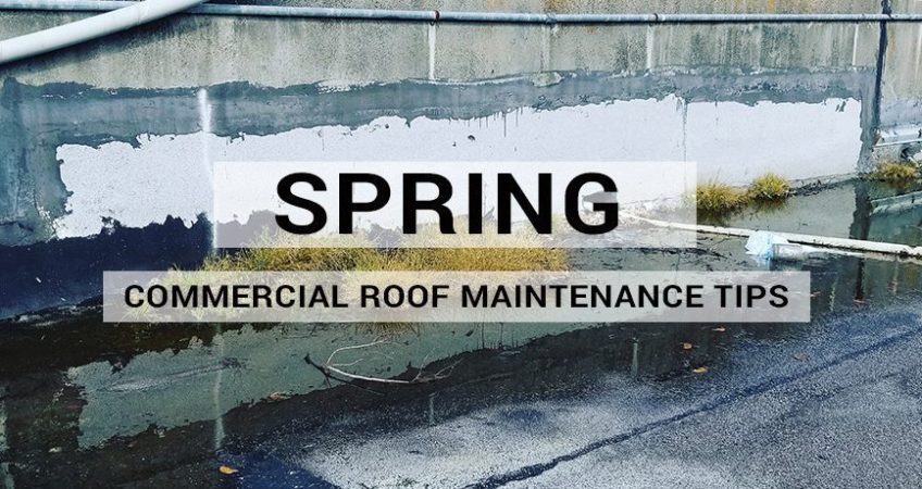 Spring Commercial Roof Maintenance Tips